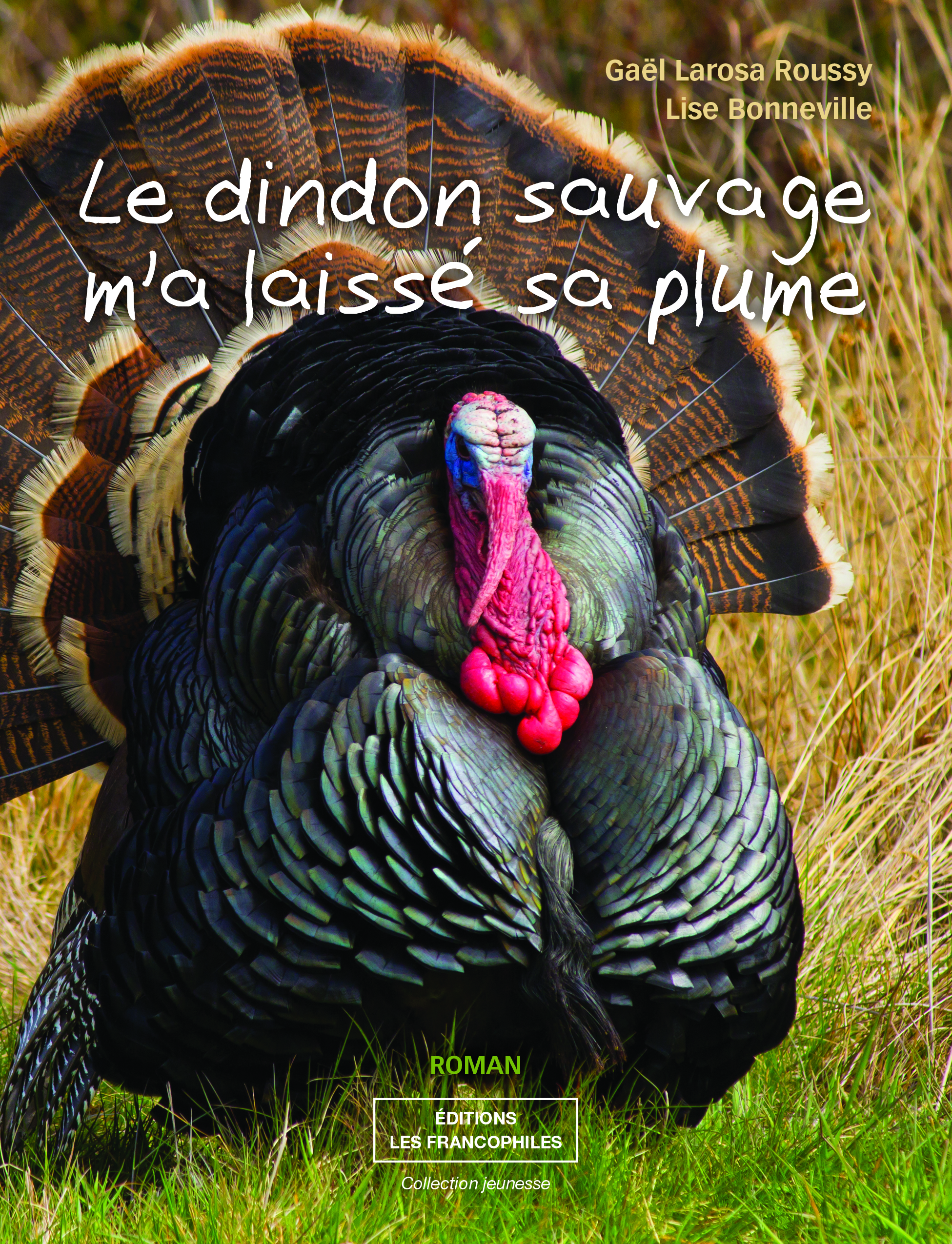 Le dindon sauvage m'a laiss sa plume